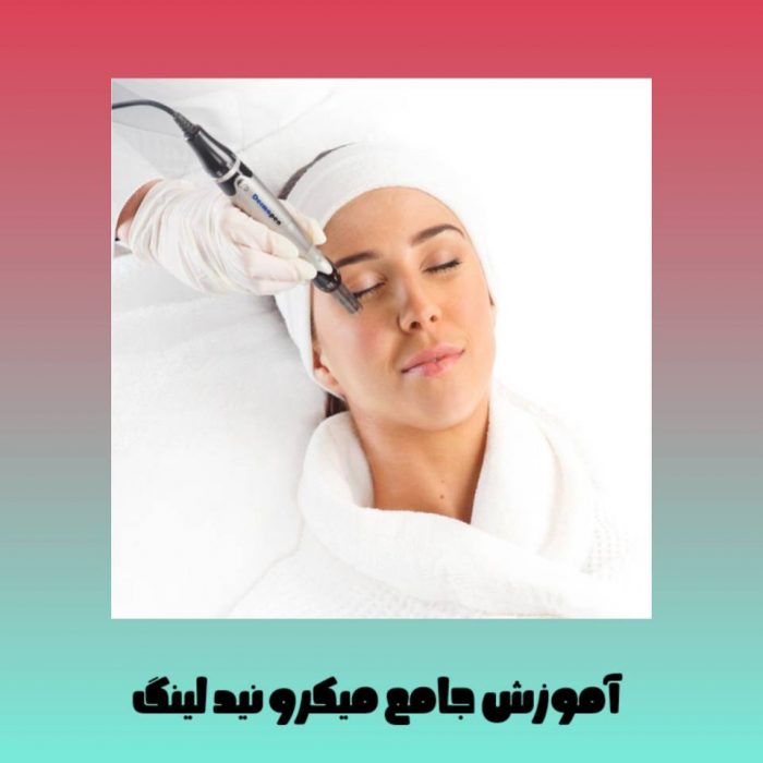 جزوه مجازی آموزش میکرونیدلینگ